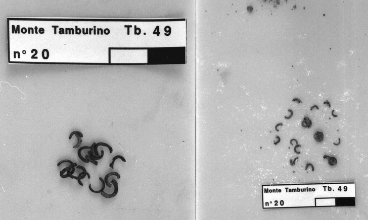 frammento di catenella in bronzo prima del restauro